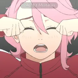初アライト!