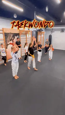 TKD demonstratio