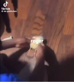 free roger edit