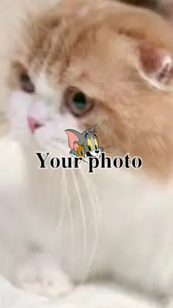 video/pic or ss