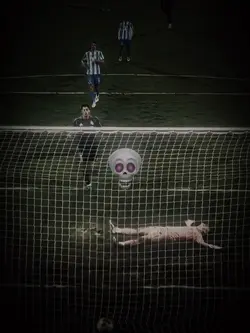 Skull face edit 3:4 