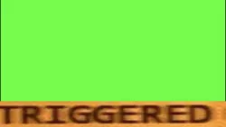 Triggered meme