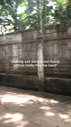 funny videos