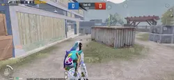 tdm