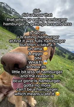 Hamburger