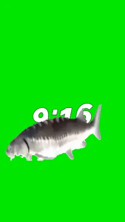 Fish Funky Town