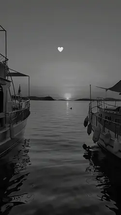 Şablon
