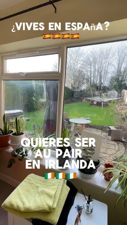 Vlog