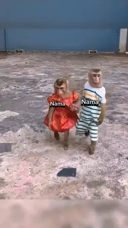 meme monyet lucu