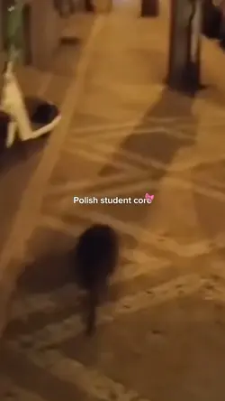 Polish 