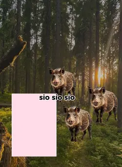 xD