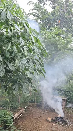 Vibes perkampungan