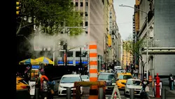 New york dairies