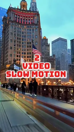 2 video or picture 