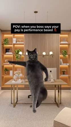 Cat Dancing 🐈‍⬛ 