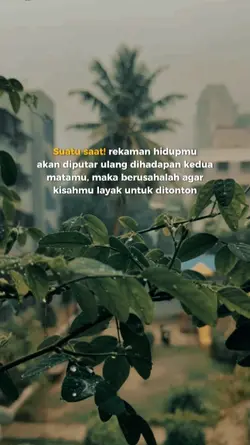 suatu saat!
rekaman 