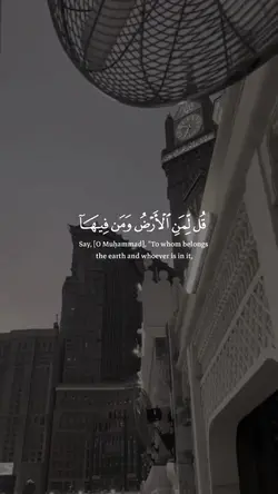 tilawat e quran