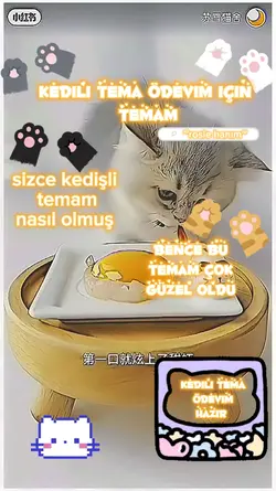tema ödevim