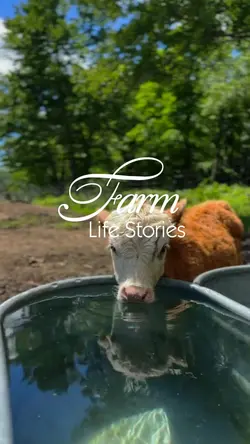 Farm Life Stories