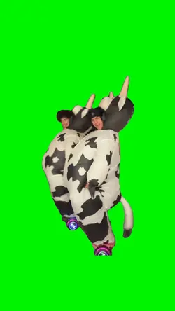Dancing Cows