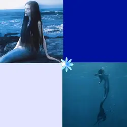 Every mermaid needs 