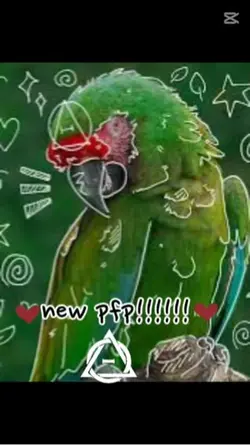 New pfp!!