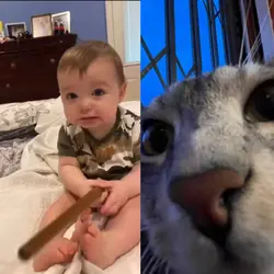 Baby wizard meme