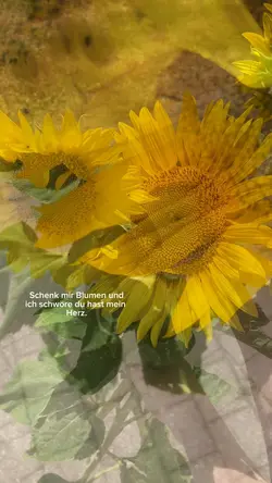Blumen