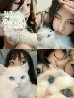 baby blue eyes
