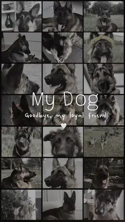 Goodbye my dog