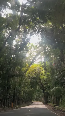 Sa Ilalim ng Liwanag