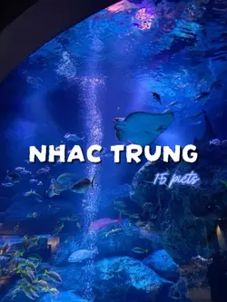 MẪU TRUNG XỊN