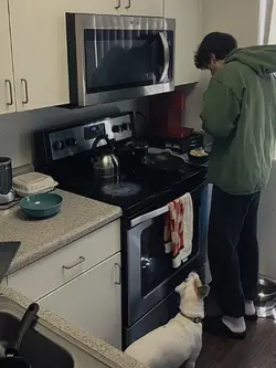 1 VIDEO+4 PHOTOS