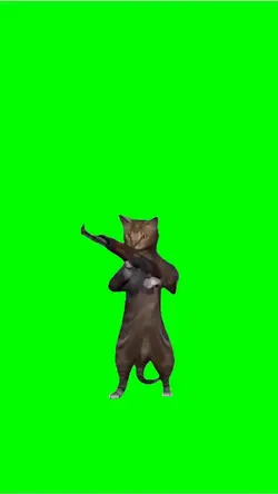 Cat shooting gun