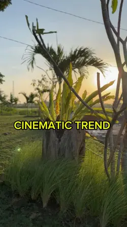 CINEMATIC TREND 