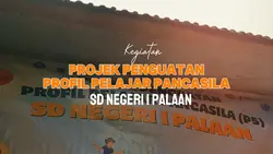 Pogram P5