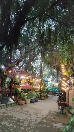 Thu Trần 0381