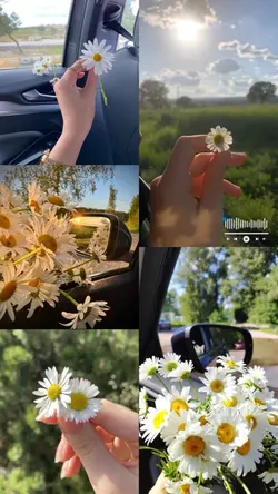 Kaldım bir başıma