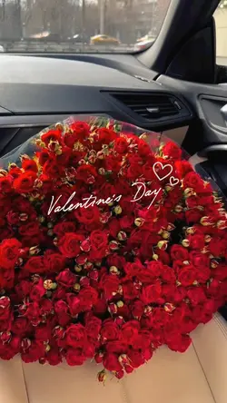 Valentine's Day