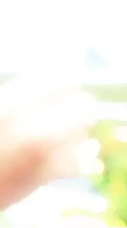 Sabai Sabai 
