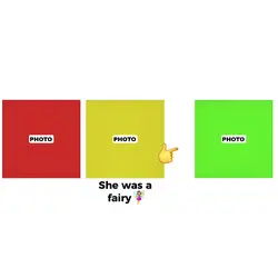 she was a fairy meme