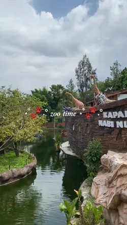 Zoo Time