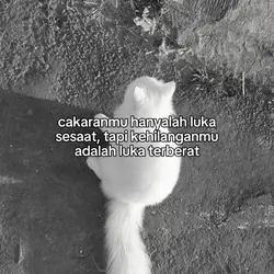 kehilangan kucing