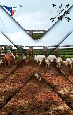 Agro