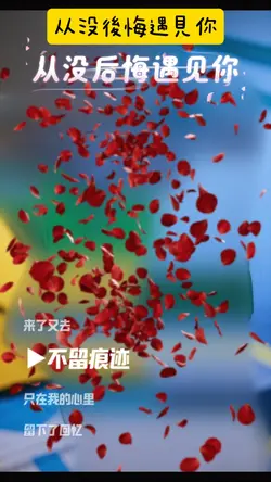从没后悔遇见你