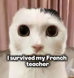 my French teacher 💀