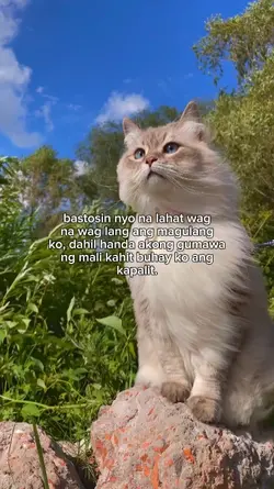 Bastosin nyo na laht