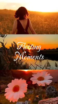 fleeting moments
