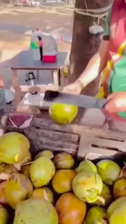 splash coconut