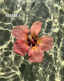 maybe